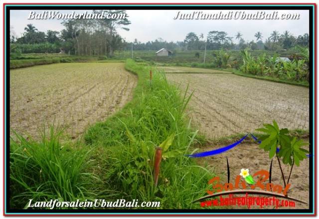 INVESTASI PROPERTY, TANAH DIJUAL MURAH di UBUD BALI TJUB677