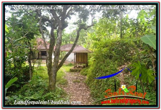 INVESTASI PROPERTY, TANAH DIJUAL MURAH di UBUD BALI TJUB677