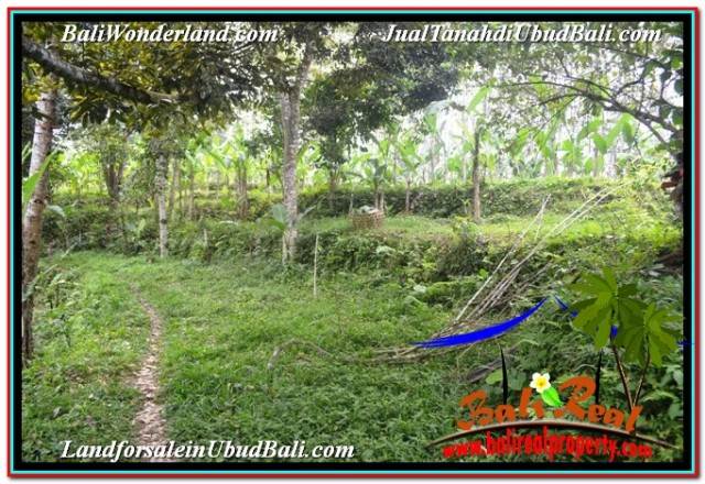 INVESTASI PROPERTY, TANAH DIJUAL MURAH di UBUD BALI TJUB677