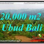 JUAL MURAH TANAH di UBUD 20,000 m2 VIEW SUNGAI DAN TEBING