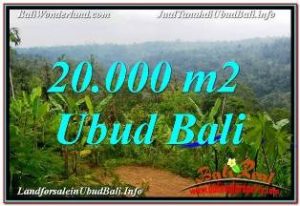 JUAL MURAH TANAH di UBUD 20,000 m2  VIEW SUNGAI DAN TEBING