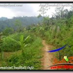 JUAL MURAH TANAH di UBUD TJUB678