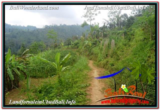 JUAL MURAH TANAH di UBUD TJUB678