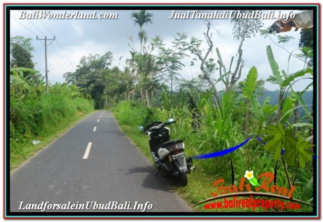 JUAL MURAH TANAH di UBUD TJUB678