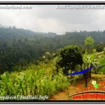 JUAL MURAH TANAH di UBUD TJUB678