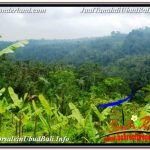 JUAL MURAH TANAH di UBUD TJUB678