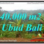 TANAH di UBUD BALI DIJUAL TJUB679