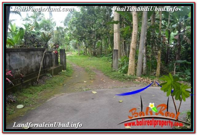 TANAH MURAH di UBUD BALI Untuk INVESTASI TJUB679