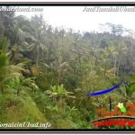 TANAH MURAH di UBUD BALI Untuk INVESTASI TJUB679