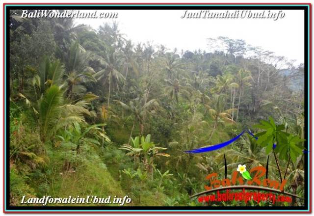 TANAH MURAH di UBUD BALI Untuk INVESTASI TJUB679