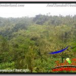 TANAH MURAH di UBUD BALI Untuk INVESTASI TJUB679