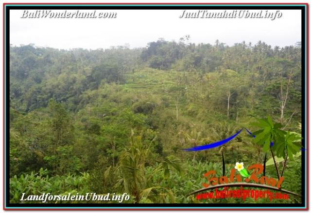 TANAH MURAH di UBUD BALI Untuk INVESTASI TJUB679