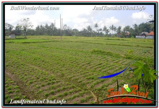 TANAH di UBUD BALI DIJUAL MURAH 10 Are di SENTRAL UBUD