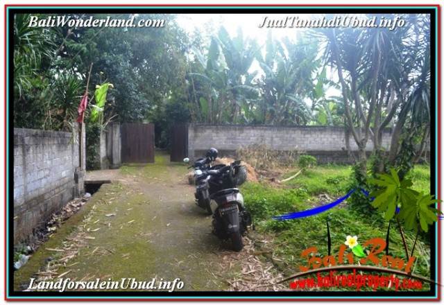 TANAH di UBUD BALI DIJUAL MURAH 10 Are di SENTRAL UBUD