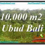 JUAL TANAH MURAH di UBUD 10,500 m2 VIEW SUNGAI DAN TEBING