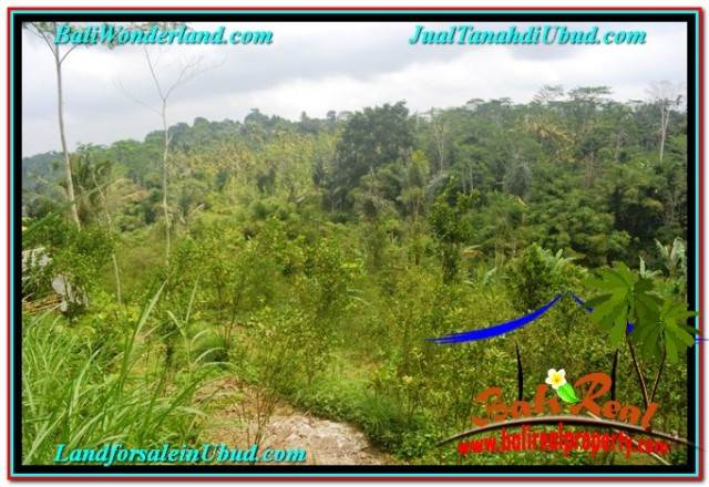 JUAL TANAH MURAH di UBUD TJUB681