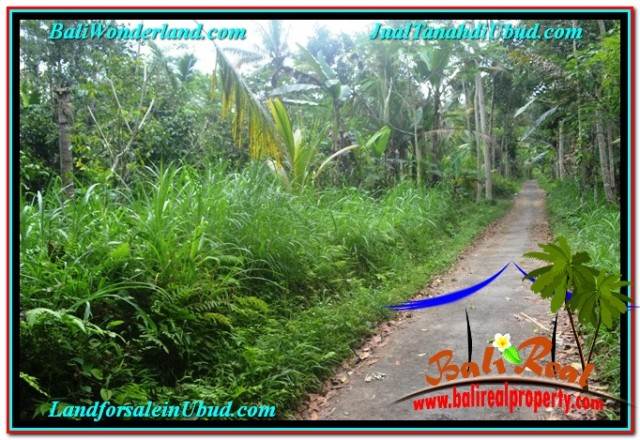 JUAL TANAH MURAH di UBUD TJUB681