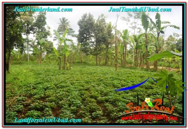 JUAL TANAH MURAH di UBUD TJUB681