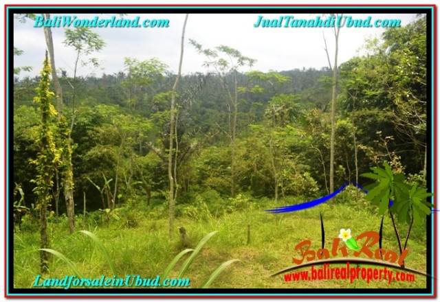 JUAL TANAH MURAH di UBUD TJUB681