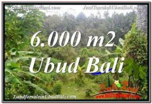 JUAL MURAH TANAH di UBUD BALI 60 Are VIEW SUNGAI DAN TEBING