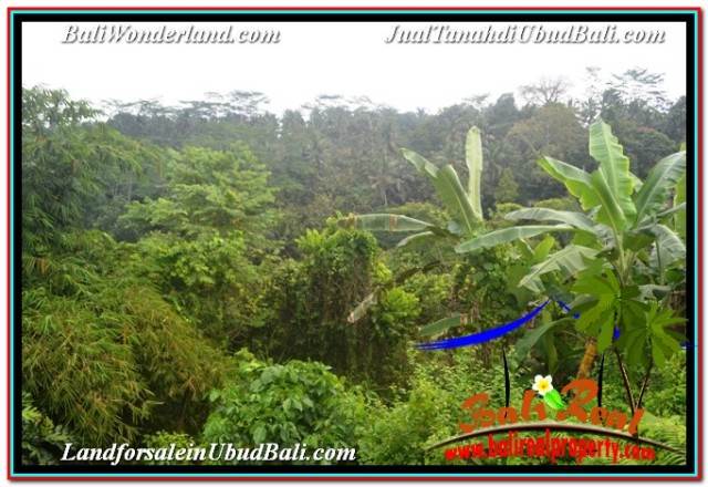 INVESTASI PROPERTY, JUAL TANAH di UBUD BALI TJUB682