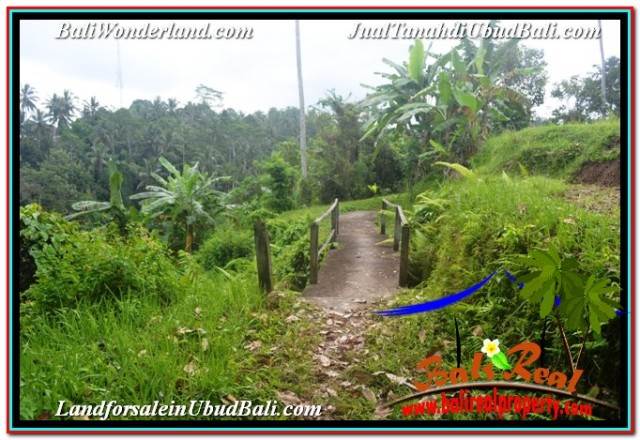 INVESTASI PROPERTY, JUAL TANAH di UBUD BALI TJUB682