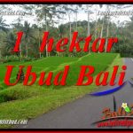 Dijual Murah Tanah di Ubud Bali 10,000 m2 di Ubud Tegalalang