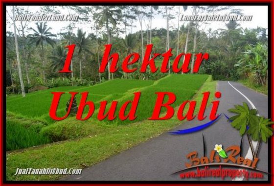 Dijual Murah Tanah di Ubud Bali 10,000 m2 di Ubud Tegalalang