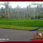 Dijual Murah Tanah di Ubud Bali 10,000 m2 di Ubud Tegalalang