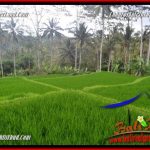 Dijual Murah Tanah di Ubud Bali 10,000 m2 di Ubud Tegalalang