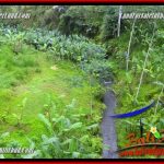 Dijual Murah Tanah di Ubud Bali 10,000 m2 di Ubud Tegalalang