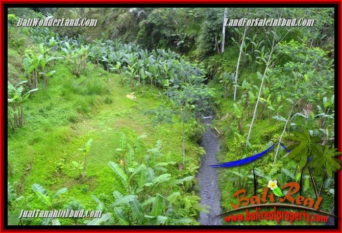 Dijual Murah Tanah di Ubud Bali 10,000 m2 di Ubud Tegalalang