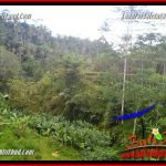 Dijual Murah Tanah di Ubud Bali 10,000 m2 di Ubud Tegalalang