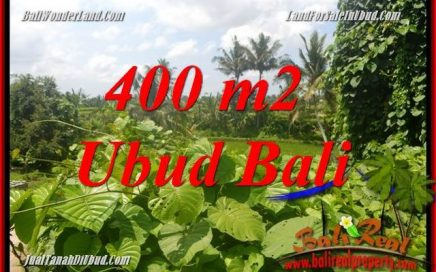 Tanah Murah jual Ubud 400 m2 View sungai dan sawah