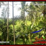 Tanah Murah jual Ubud 400 m2 View sungai dan sawah