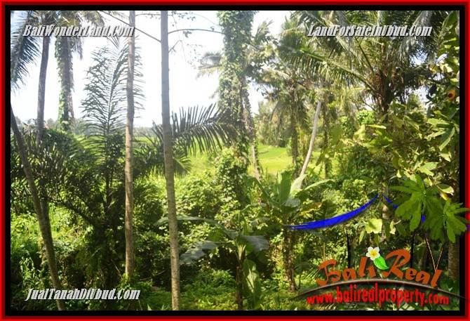 Tanah Murah jual Ubud 400 m2 View sungai dan sawah