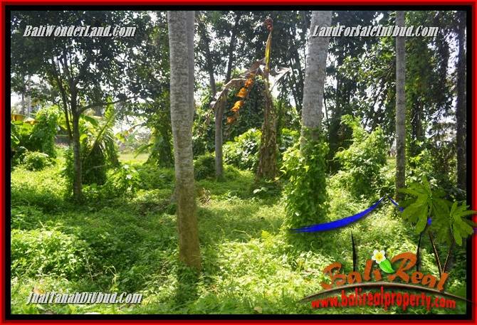 Tanah Murah jual Ubud 400 m2 View sungai dan sawah