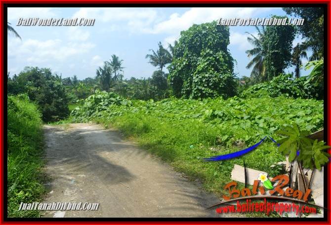 Tanah Murah jual Ubud 400 m2 View sungai dan sawah