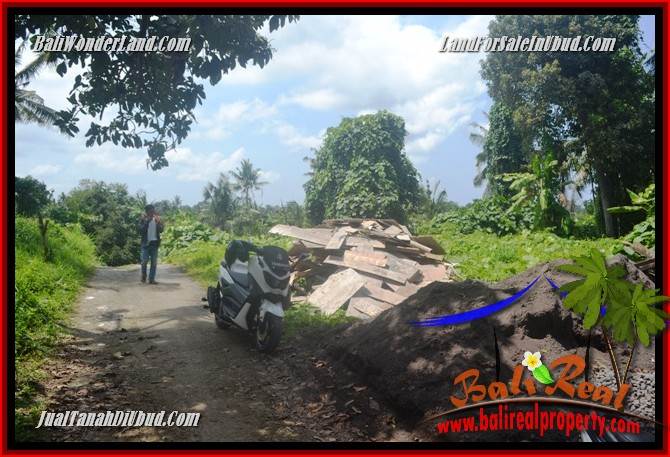 Tanah Murah jual Ubud 400 m2 View sungai dan sawah