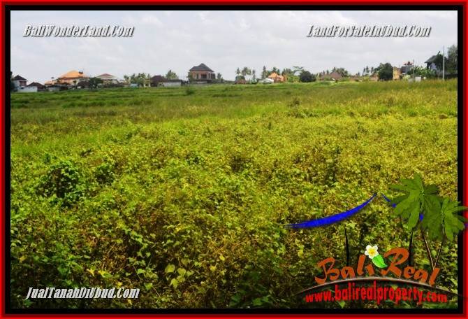 JUAL Tanah di Ubud Bali 840 m2 di Lod Tunduh