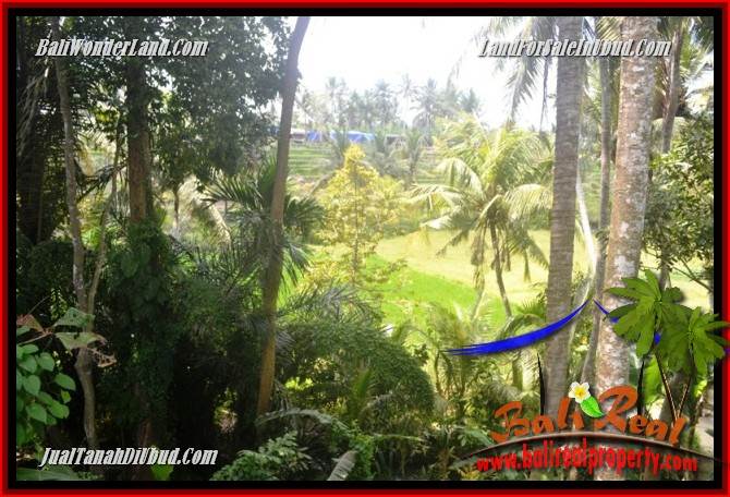 JUAL Tanah di Ubud Bali 840 m2 di Lod Tunduh