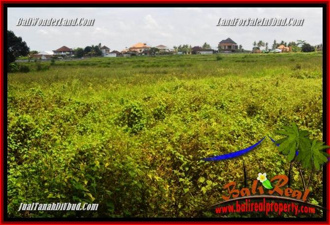 JUAL Tanah di Ubud Bali 840 m2 di Lod Tunduh