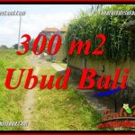 Investasi Property, Tanah Murah di Ubud Bali Dijual TJUB687