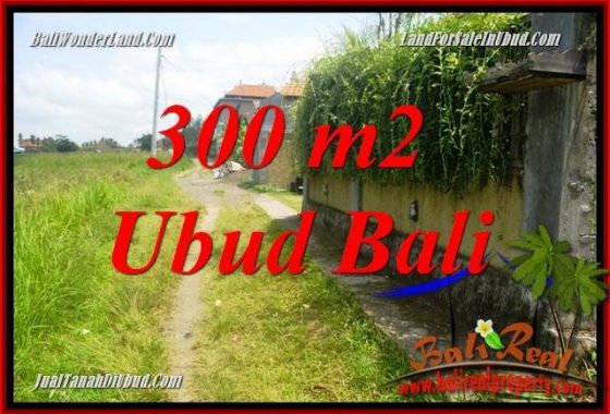 Investasi Property, Tanah Murah di Ubud Bali Dijual TJUB687