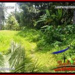 Investasi Property, Tanah Murah di Ubud Bali Dijual TJUB687