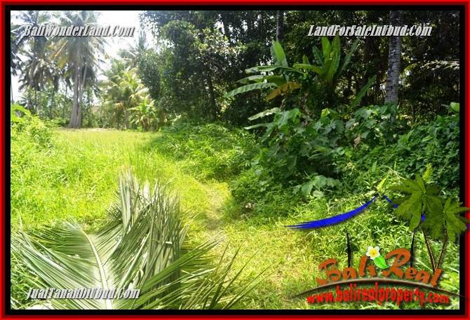 Investasi Property, Tanah Murah di Ubud Bali Dijual TJUB687