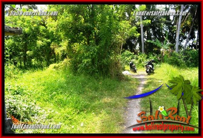 Investasi Property, Tanah Murah di Ubud Bali Dijual TJUB687