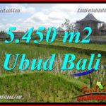 Tanah Murah Dijual di Ubud Untuk Investasi TJUB688