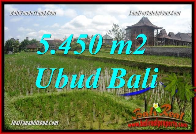 Tanah Murah Dijual di Ubud Untuk Investasi TJUB688