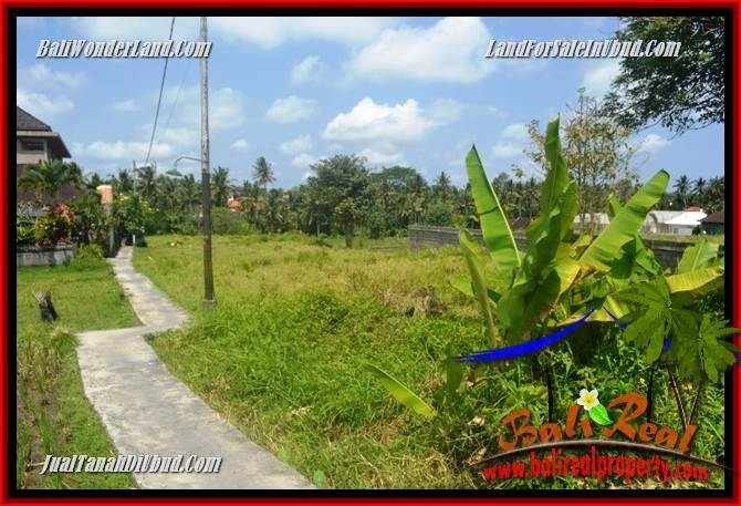 Tanah Murah Dijual di Ubud Untuk Investasi TJUB688